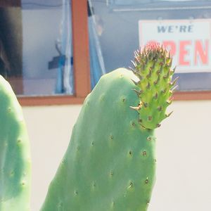 Meet your Posher, Angie